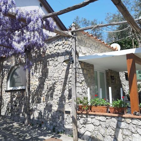 Shedir Apartment Vico Equense Exterior photo
