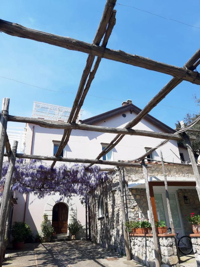 Shedir Apartment Vico Equense Exterior photo