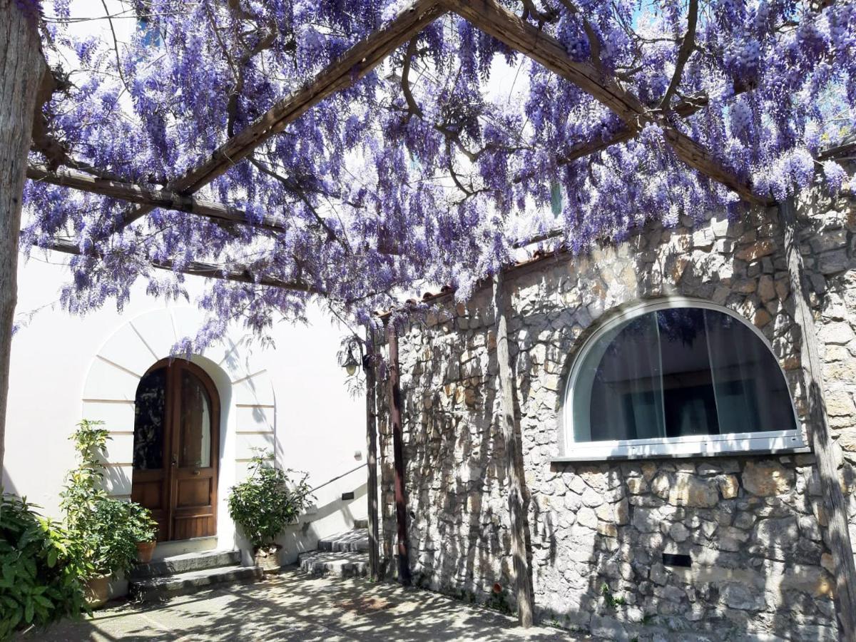 Shedir Apartment Vico Equense Exterior photo